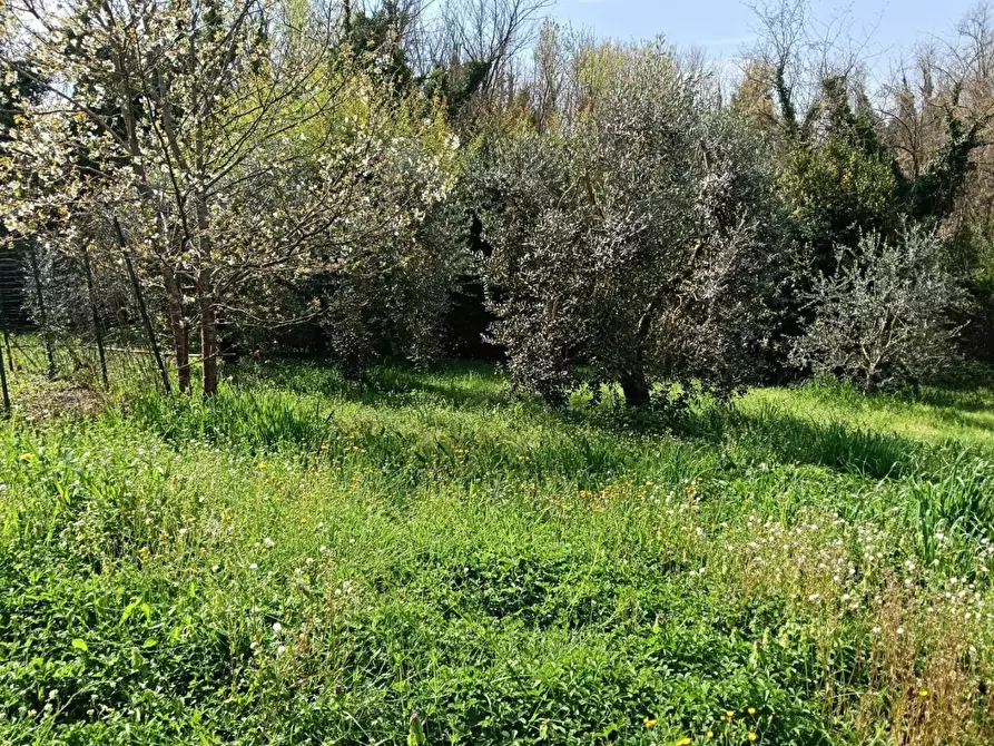 Immagine 2 di Porzione di casa in vendita  a Lamporecchio