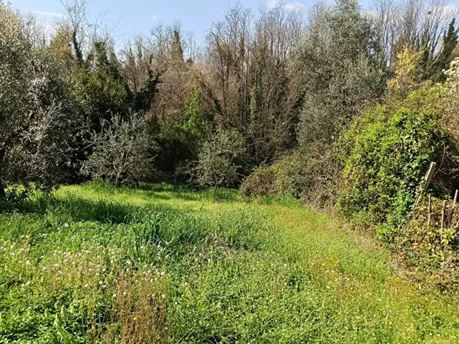 Immagine 10 di Porzione di casa in vendita  a Lamporecchio