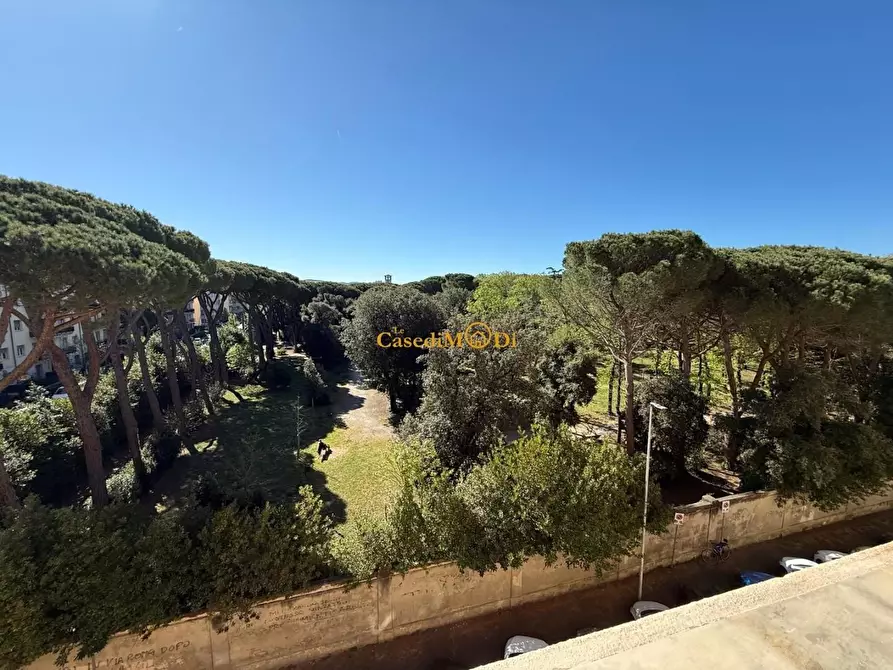 Immagine 6 di Appartamento in vendita  a Livorno
