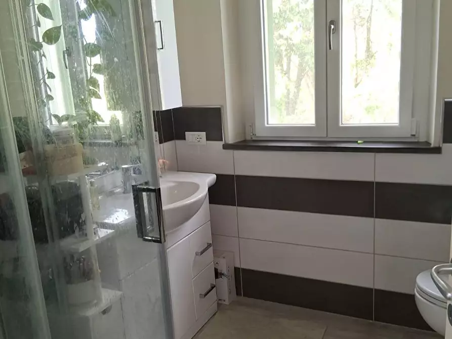 Immagine 10 di Terratetto in vendita  a Capannori