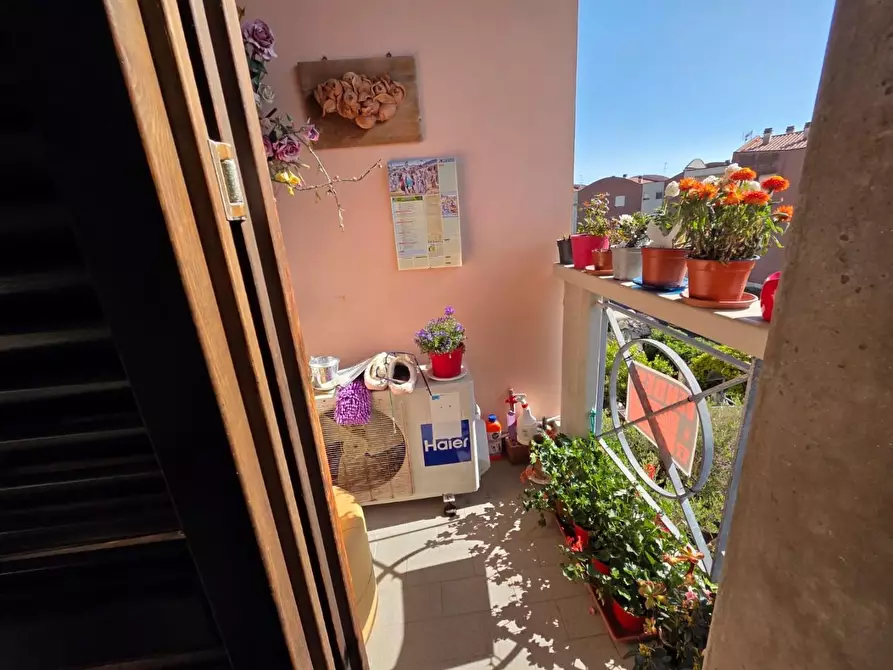 Immagine 13 di Appartamento in vendita  a Rosignano Marittimo