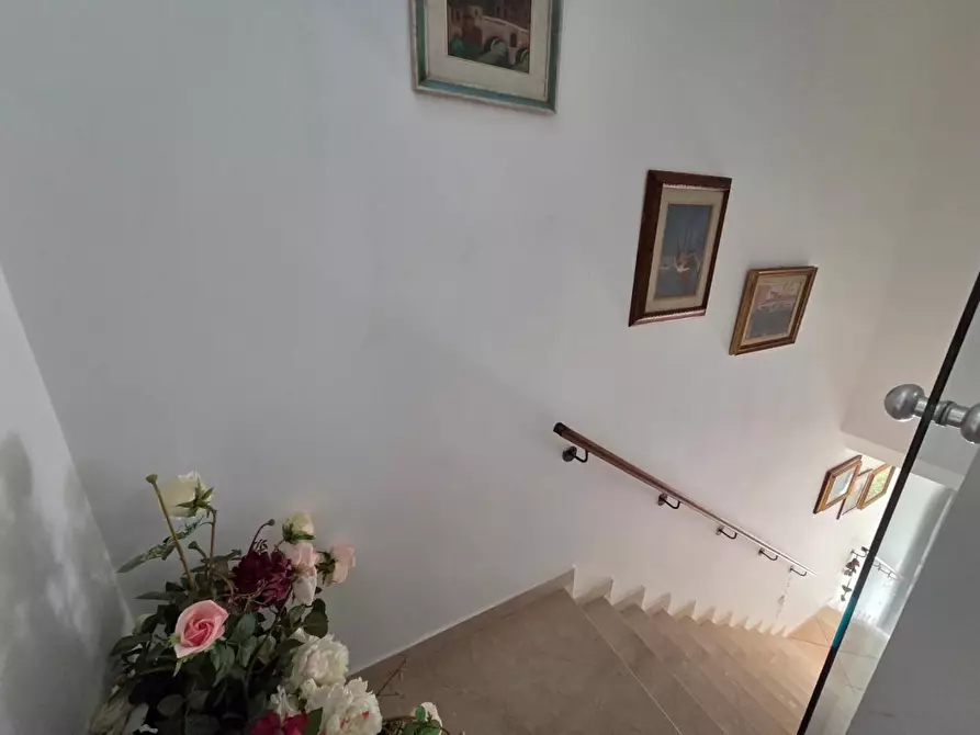 Immagine 11 di Appartamento in vendita  a Rosignano Marittimo