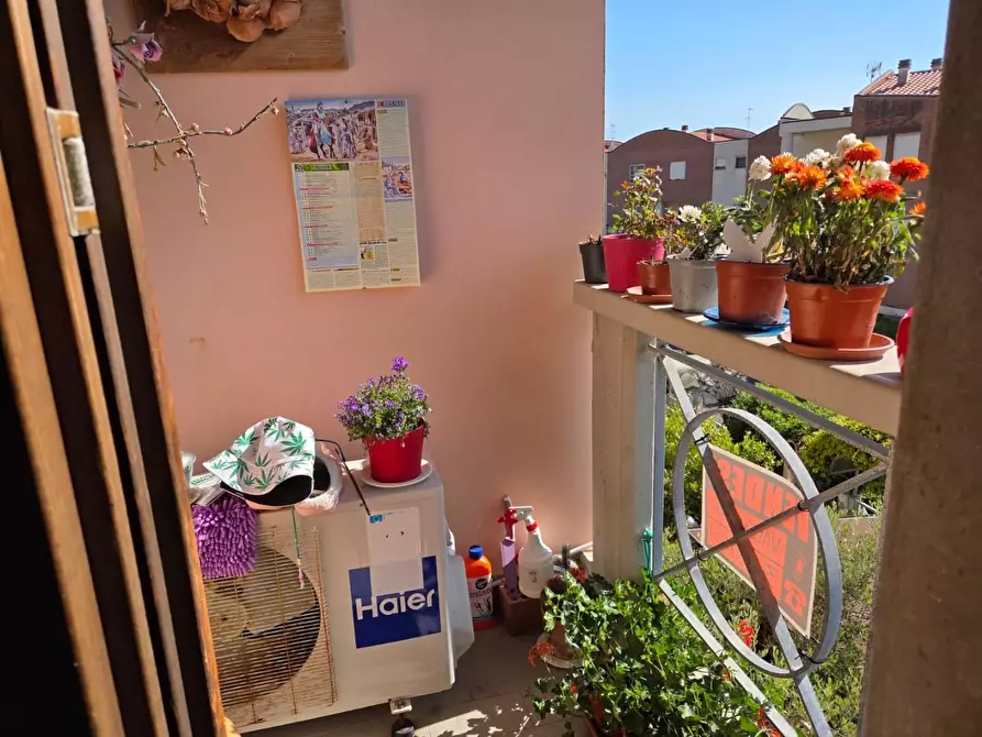 Immagine 4 di Appartamento in vendita  a Rosignano Marittimo