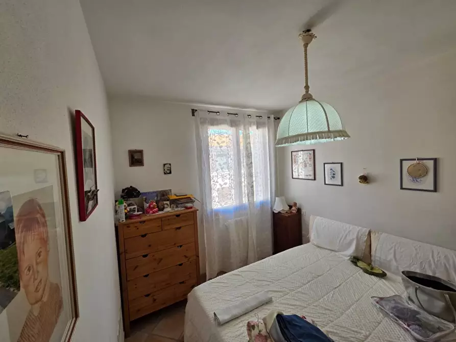 Immagine 14 di Appartamento in vendita  a Rosignano Marittimo