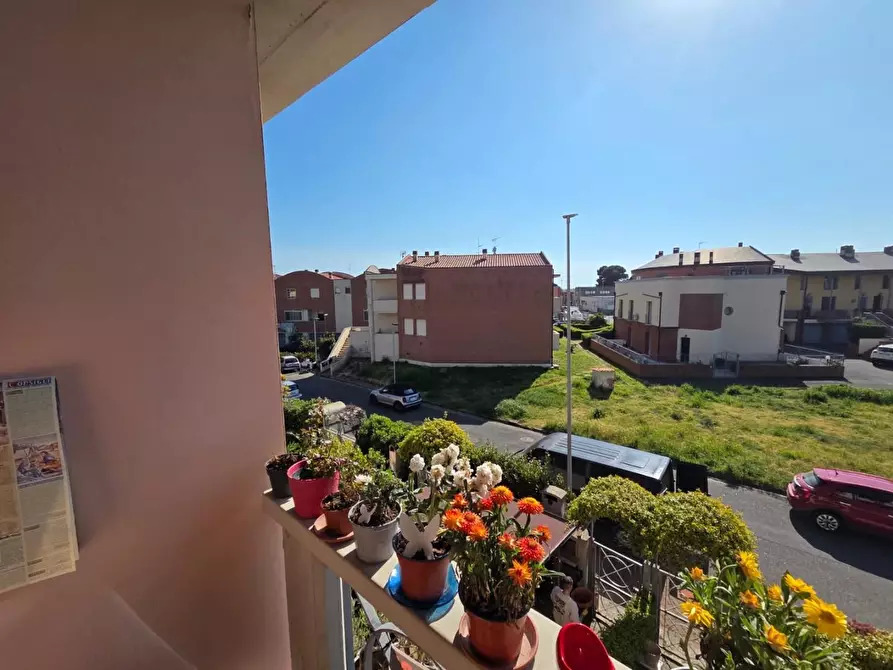 Immagine 12 di Appartamento in vendita  a Rosignano Marittimo