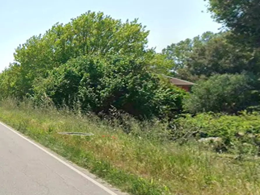 Immagine 3 di Appartamento in vendita  a San Giuliano Terme