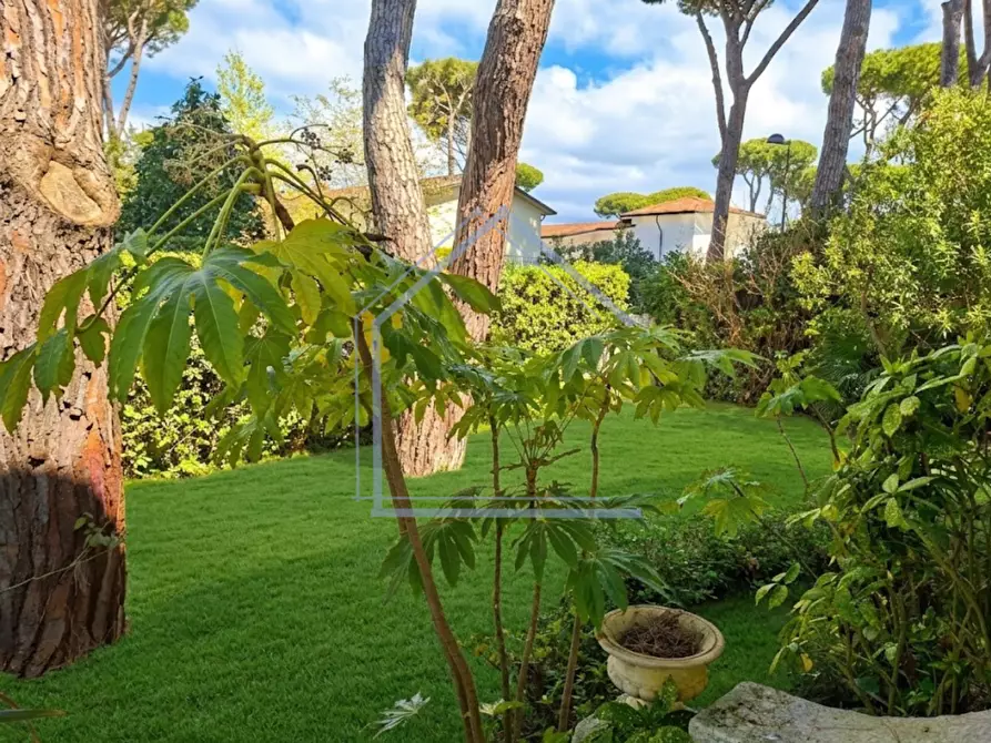Immagine 9 di Casa bifamiliare in vendita  a Camaiore