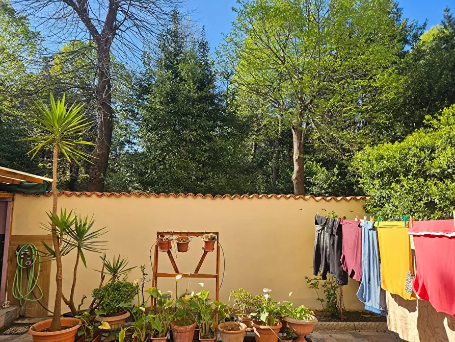 Immagine 2 di Appartamento in vendita  a Livorno