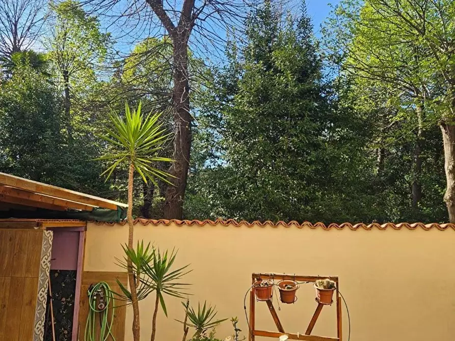 Immagine 1 di Appartamento in vendita  a Livorno