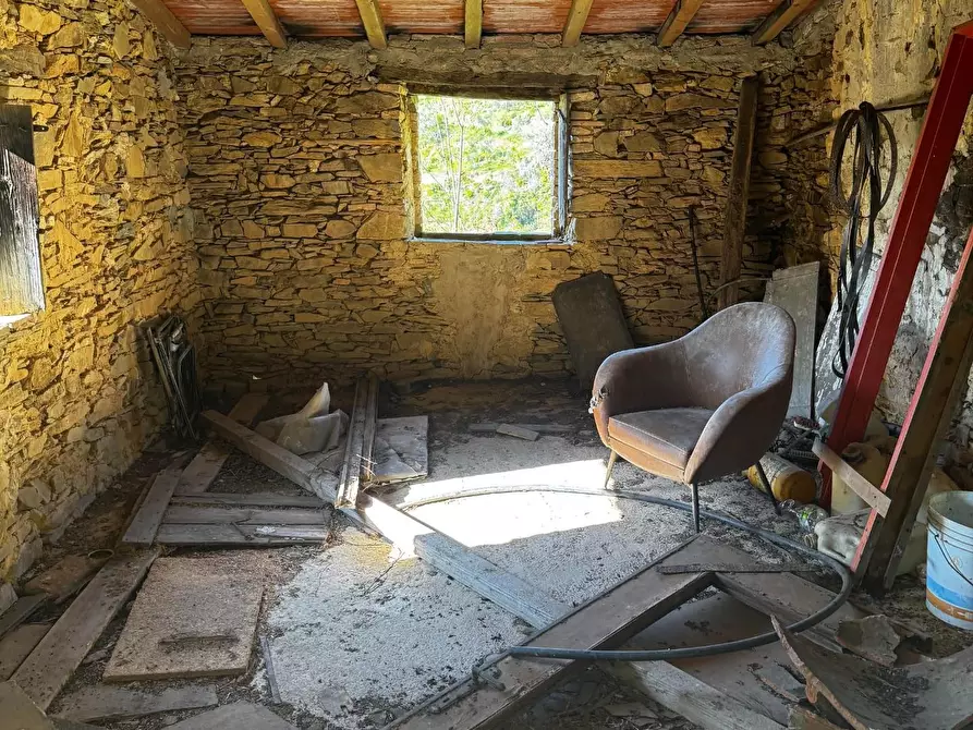 Immagine 2 di Rustico / casale in vendita  a Calci