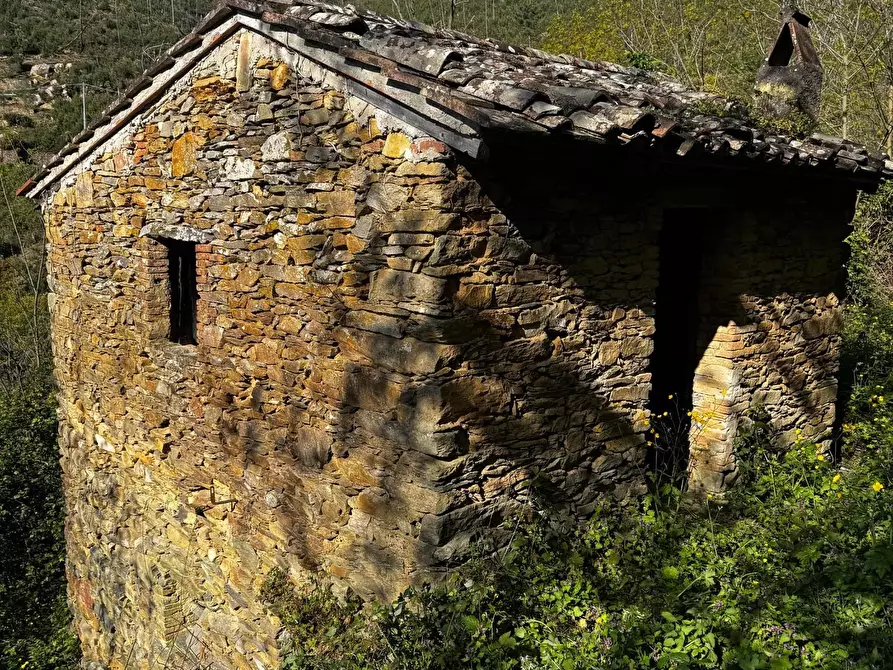 Immagine 1 di Rustico / casale in vendita  a Calci