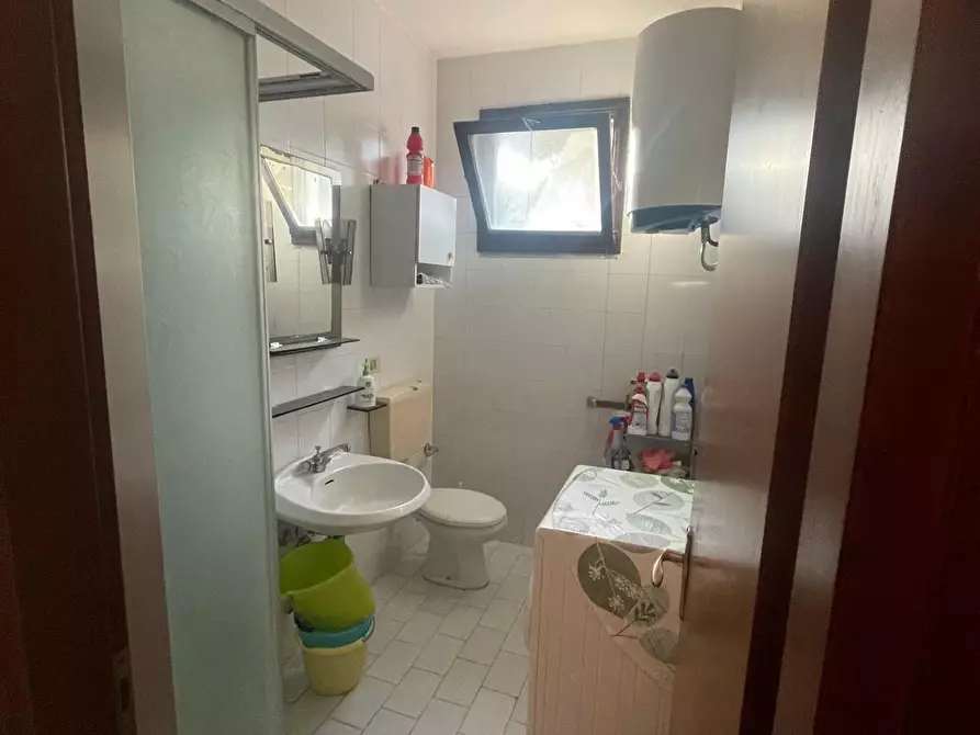 Immagine 4 di Appartamento in vendita  a Grosseto