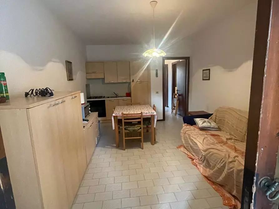 Immagine 15 di Appartamento in vendita  a Grosseto