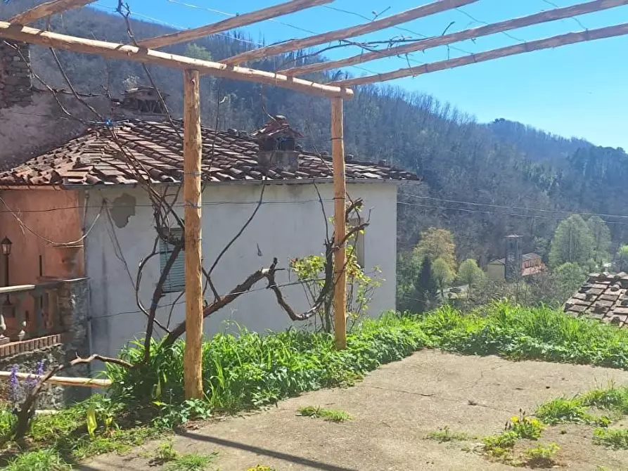 Immagine 4 di Terratetto in vendita  a Pescaglia