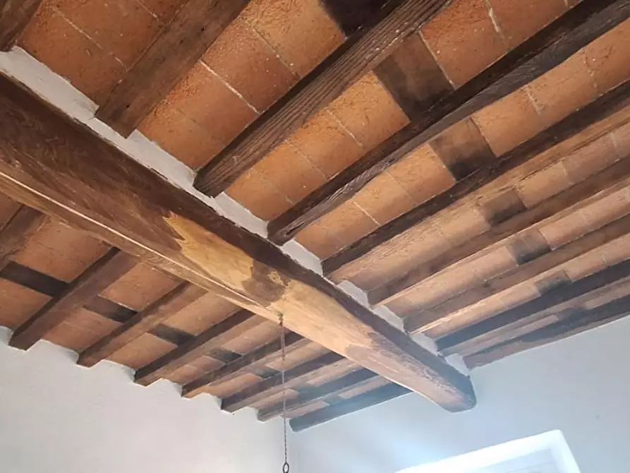 Immagine 15 di Terratetto in vendita  a Pescaglia