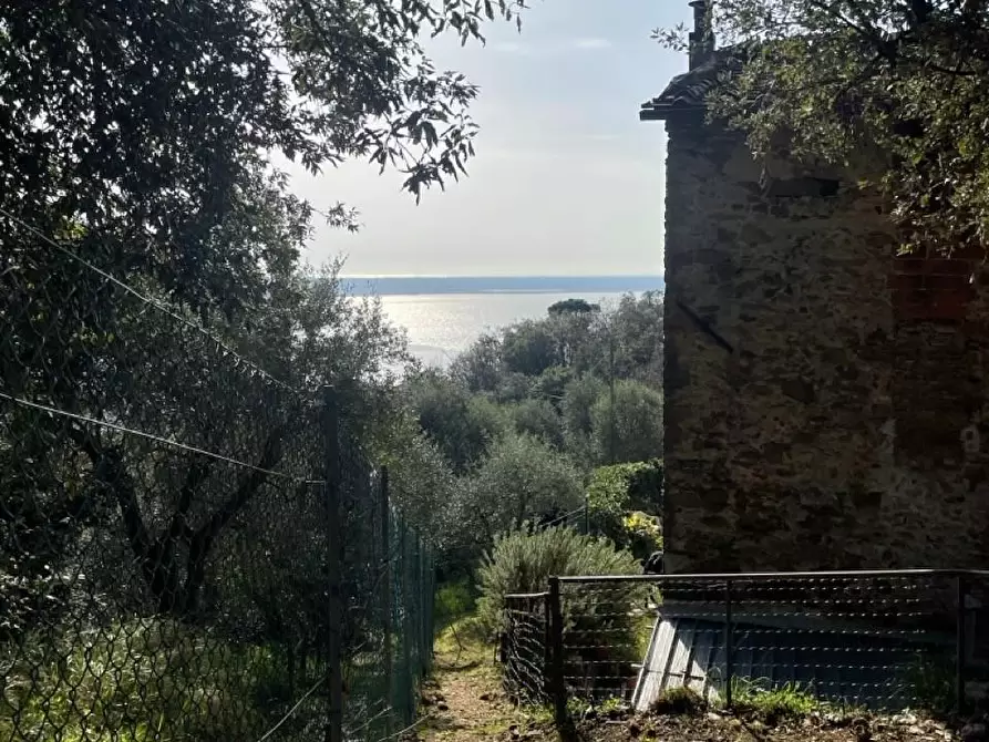 Immagine 8 di Rustico / casale in vendita  a Massarosa