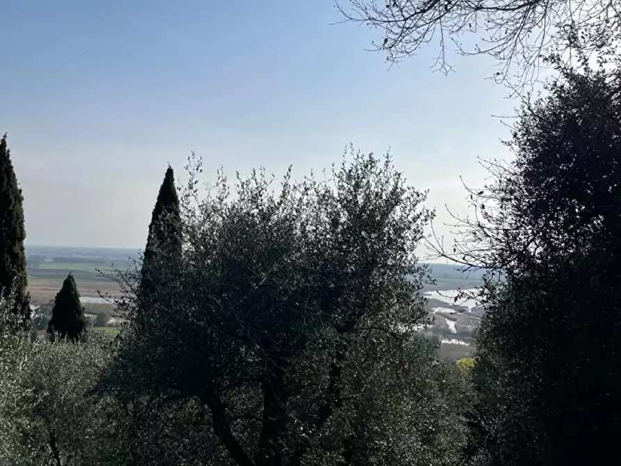 Immagine 15 di Rustico / casale in vendita  a Massarosa