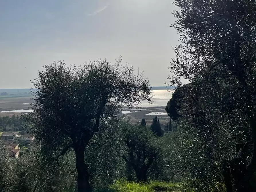 Immagine 18 di Rustico / casale in vendita  a Massarosa