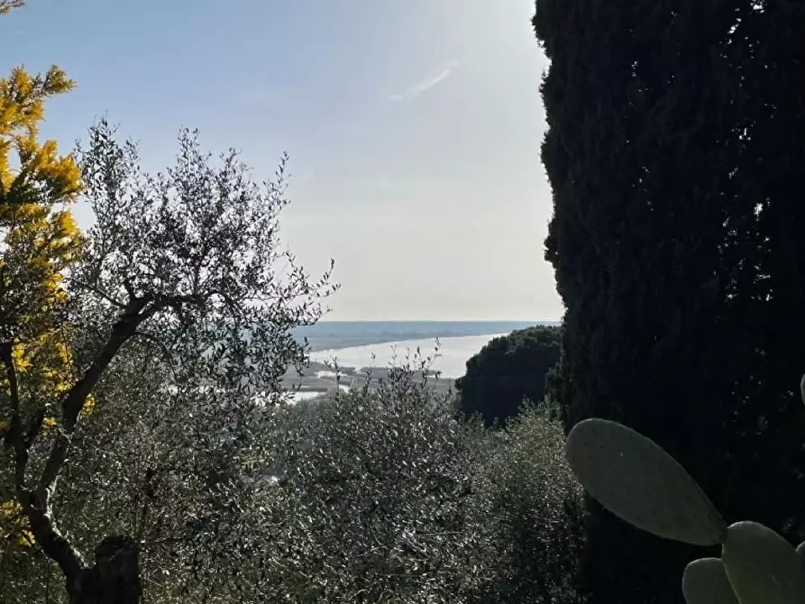 Immagine 16 di Rustico / casale in vendita  a Massarosa