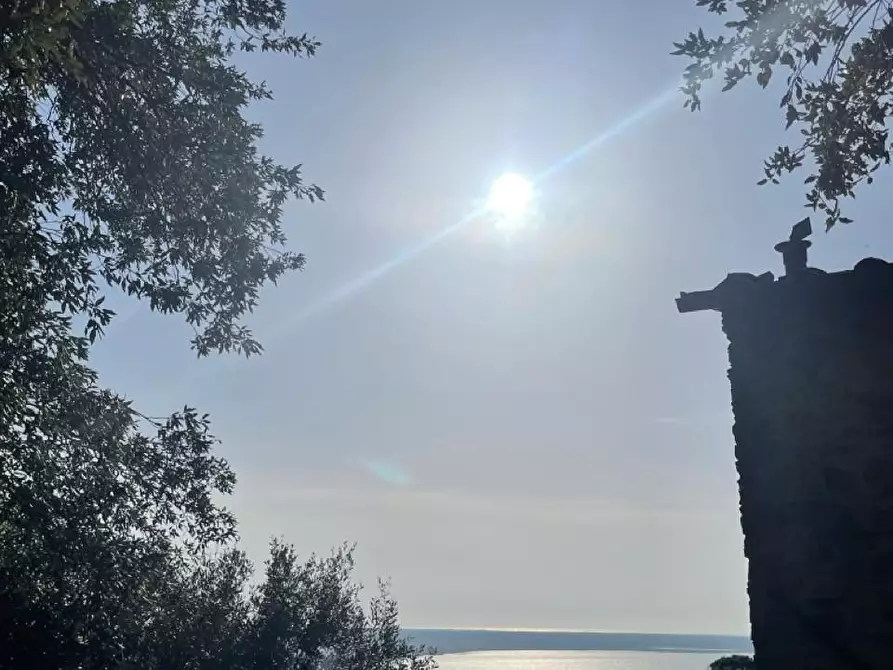 Immagine 9 di Rustico / casale in vendita  a Massarosa