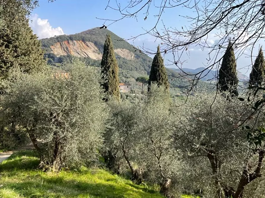 Immagine 13 di Rustico / casale in vendita  a Massarosa