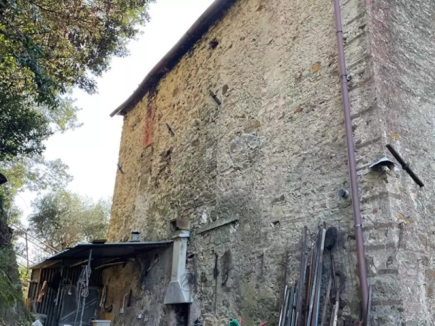 Immagine 3 di Rustico / casale in vendita  a Massarosa