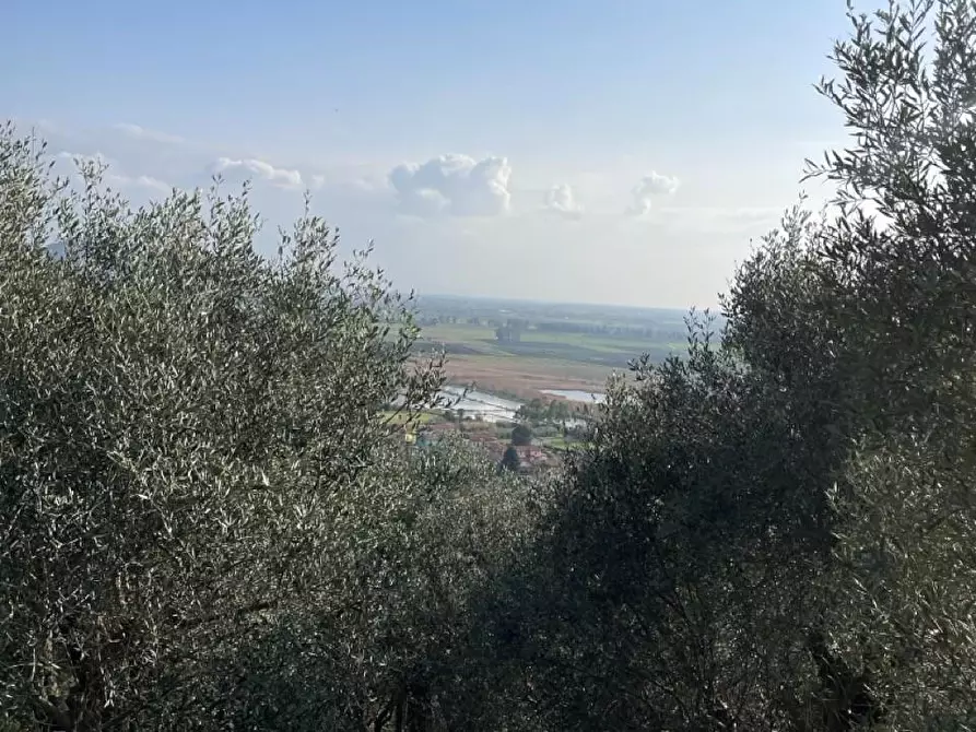 Immagine 10 di Rustico / casale in vendita  a Massarosa