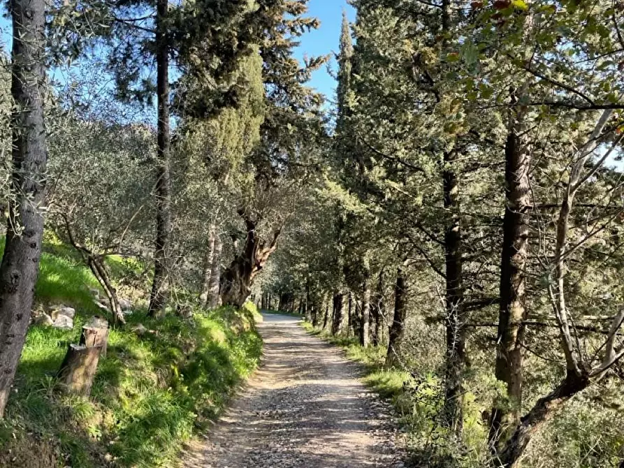 Immagine 19 di Rustico / casale in vendita  a Massarosa