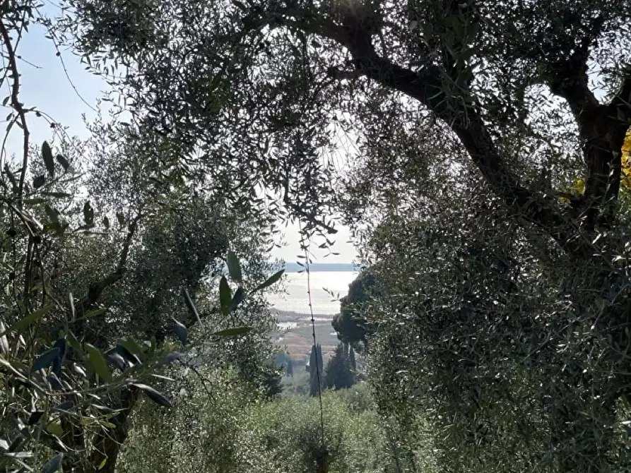 Immagine 17 di Rustico / casale in vendita  a Massarosa