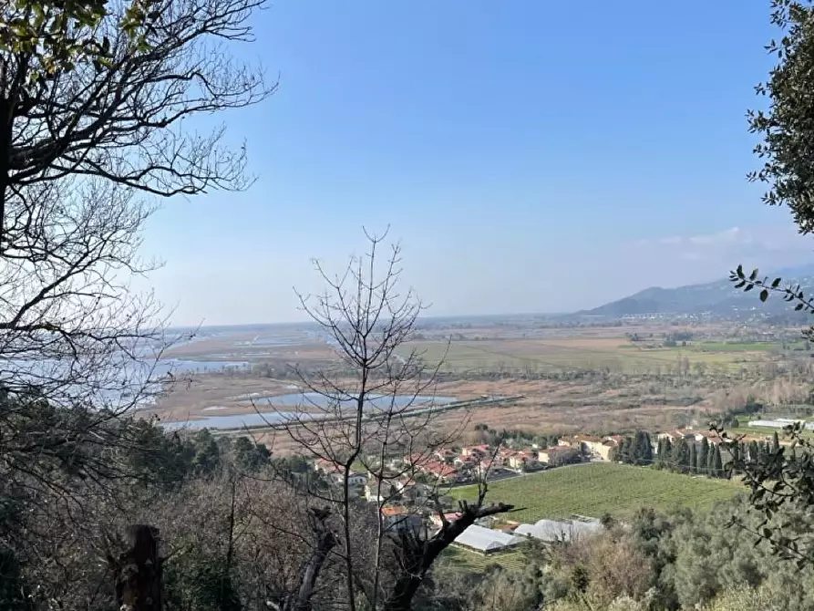 Immagine 6 di Rustico / casale in vendita  a Massarosa