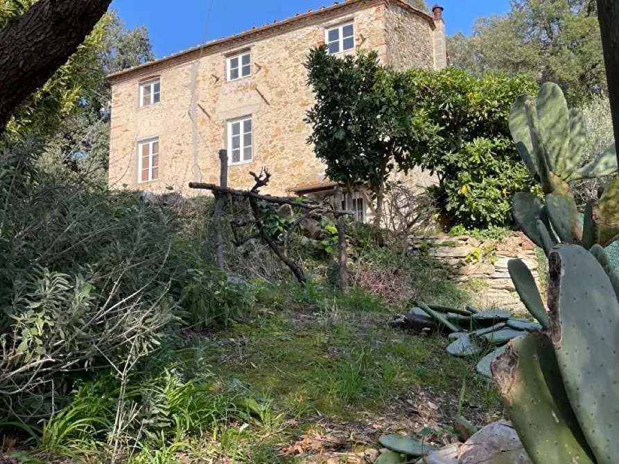 Immagine 11 di Rustico / casale in vendita  a Massarosa