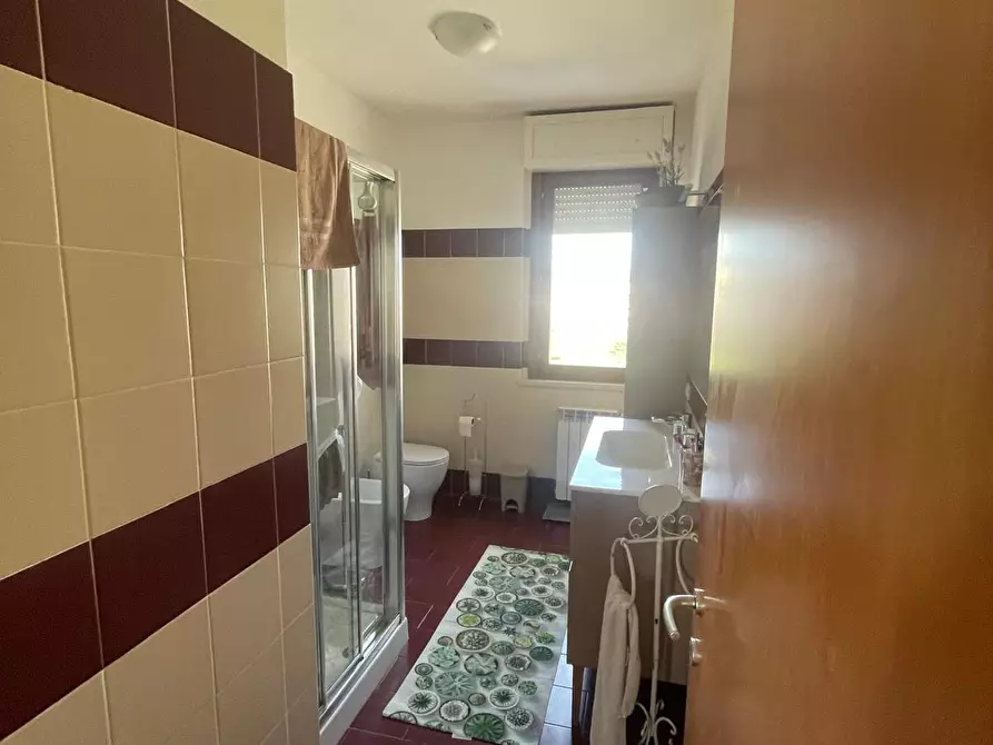 Immagine 16 di Appartamento in vendita  a Campiglia Marittima