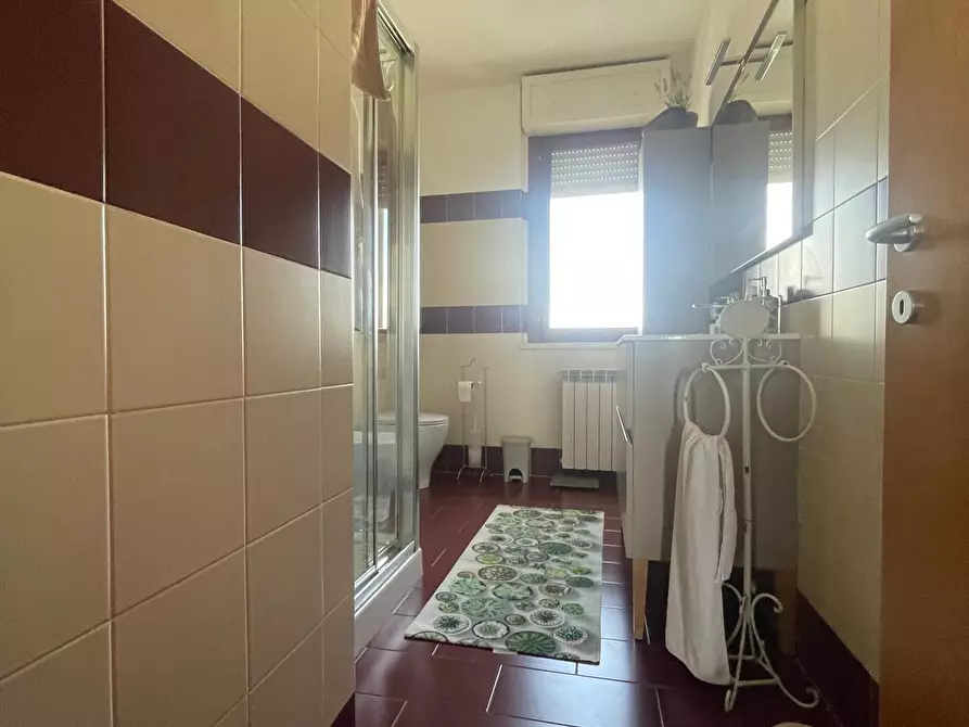 Immagine 17 di Appartamento in vendita  a Campiglia Marittima