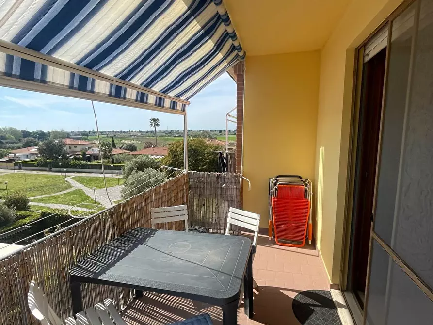 Immagine 34 di Appartamento in vendita  a Campiglia Marittima