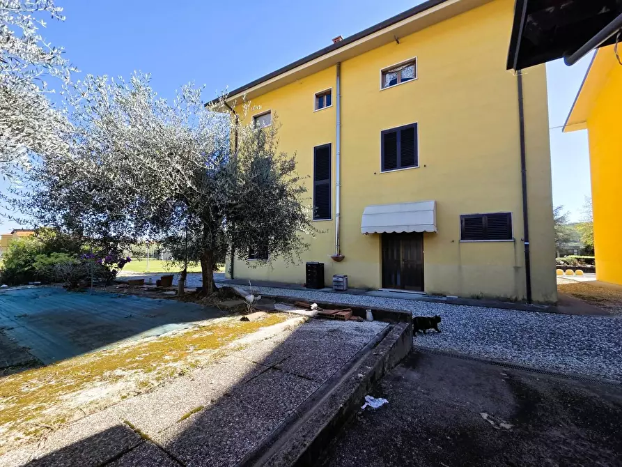 Immagine 41 di Casa indipendente in vendita  a Lucca