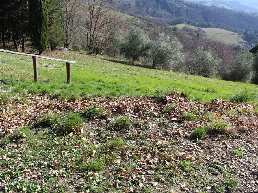 Immagine 12 di Casa indipendente in vendita  a Vicchio