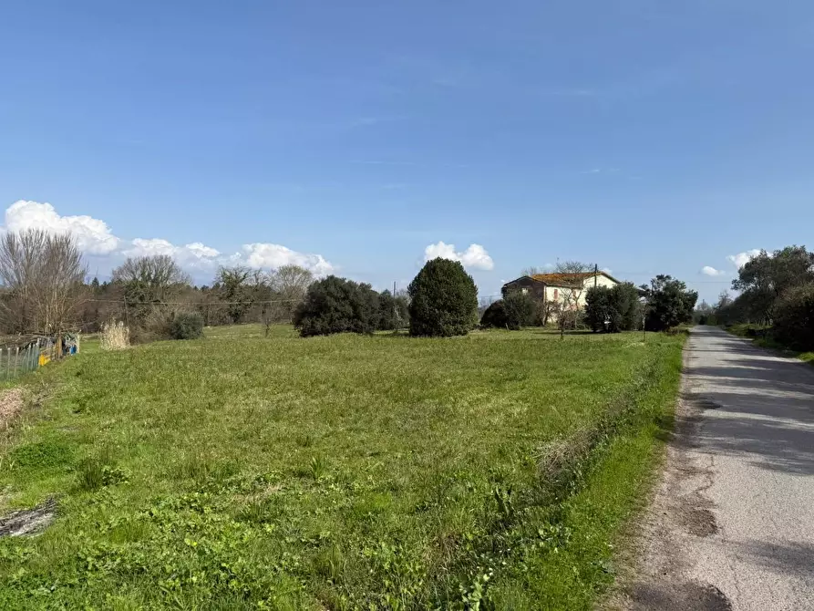 Immagine 9 di Casa colonica in vendita  a Fucecchio