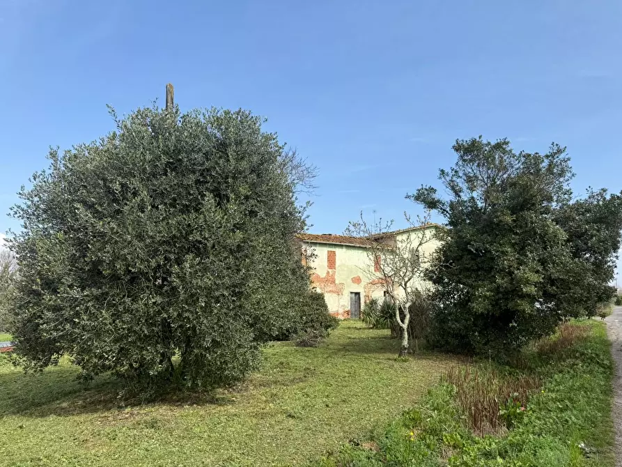 Immagine 10 di Casa colonica in vendita  a Fucecchio