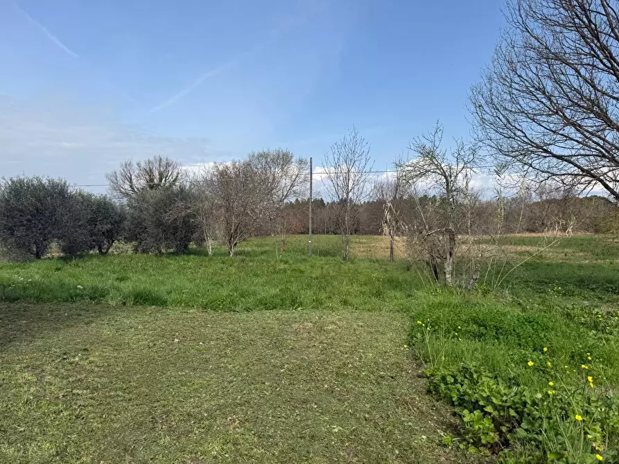 Immagine 4 di Casa colonica in vendita  a Fucecchio