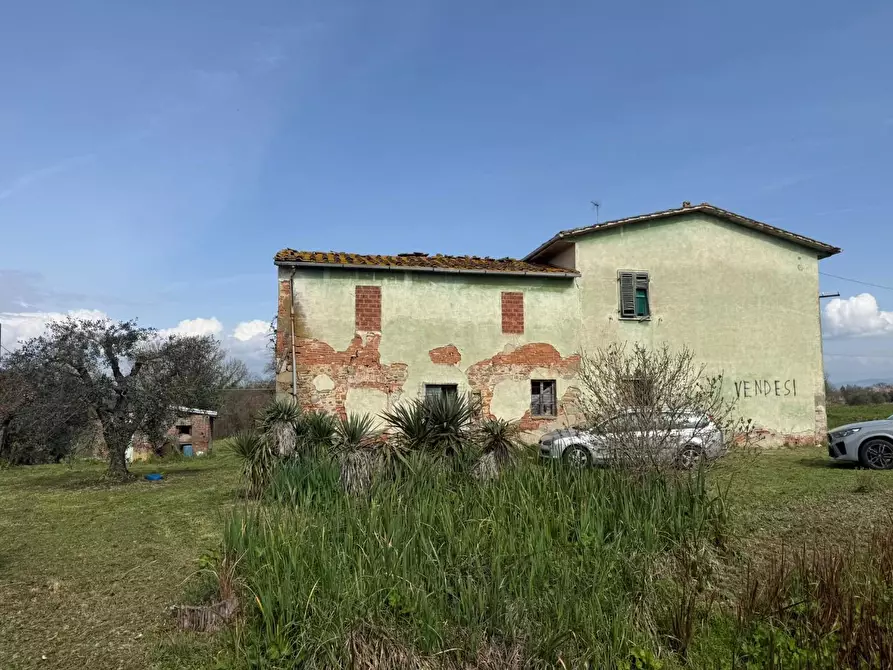 Immagine 6 di Casa colonica in vendita  a Fucecchio