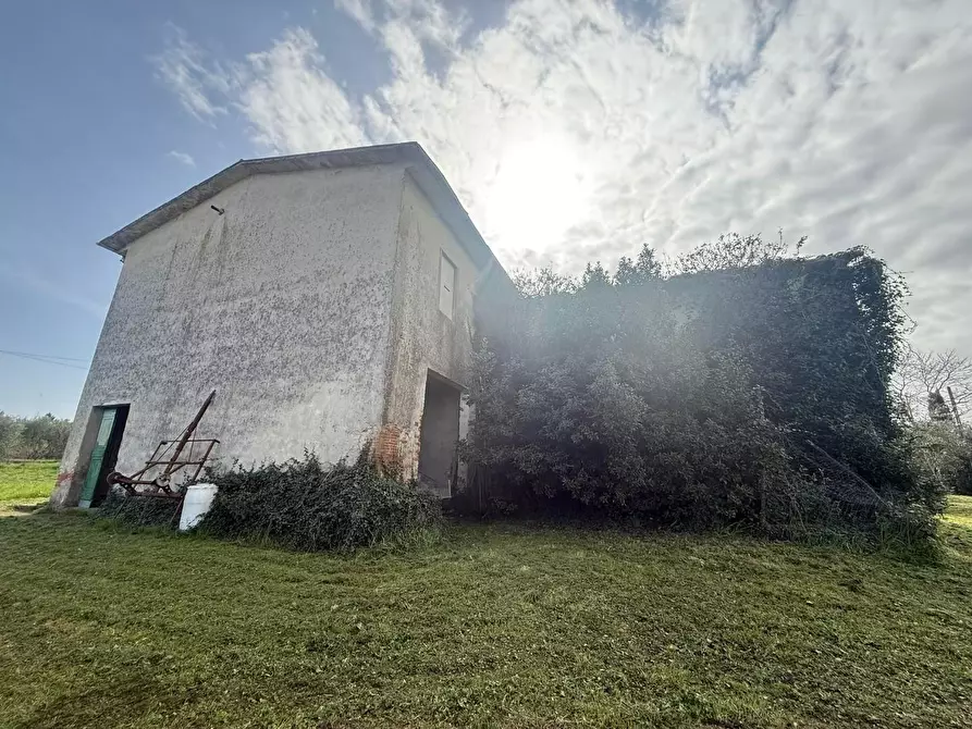 Immagine 3 di Casa colonica in vendita  a Fucecchio