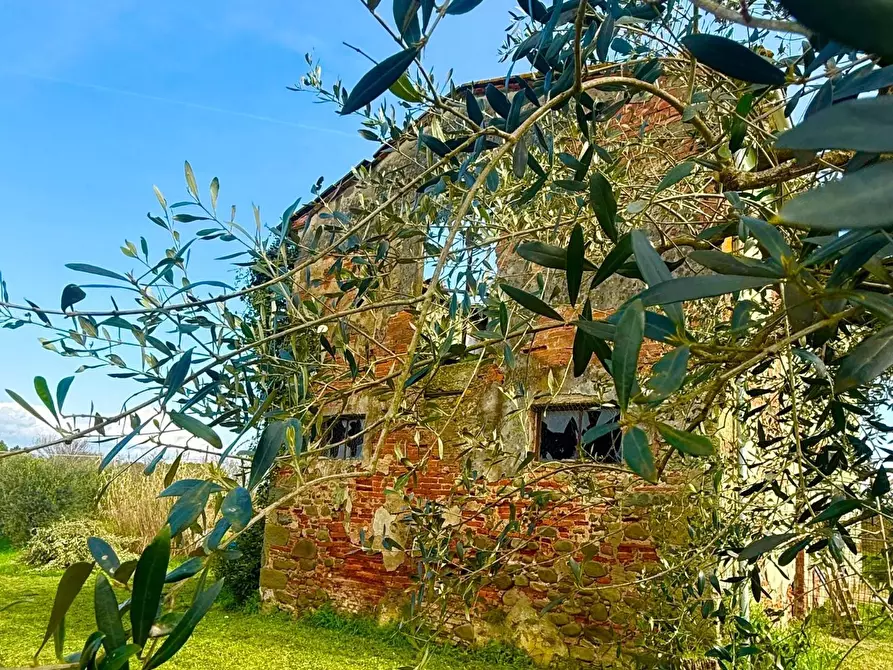Immagine 1 di Casa colonica in vendita  a Fucecchio