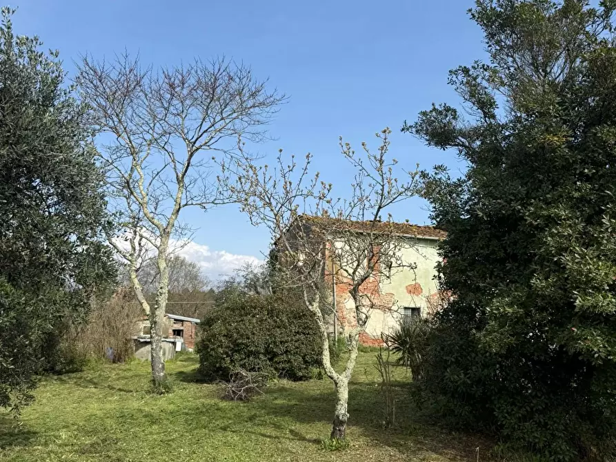 Immagine 7 di Casa colonica in vendita  a Fucecchio