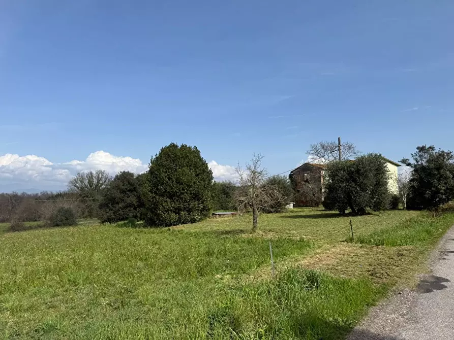 Immagine 8 di Casa colonica in vendita  a Fucecchio