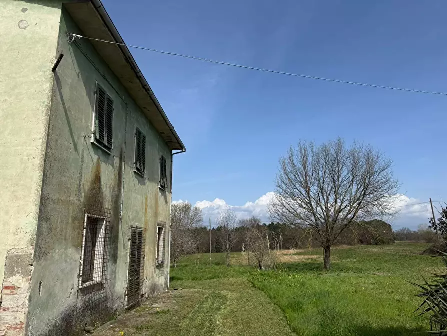 Immagine 5 di Casa colonica in vendita  a Fucecchio
