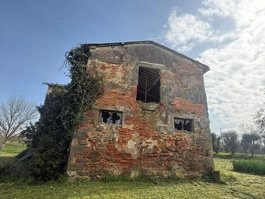 Immagine 2 di Casa colonica in vendita  a Fucecchio