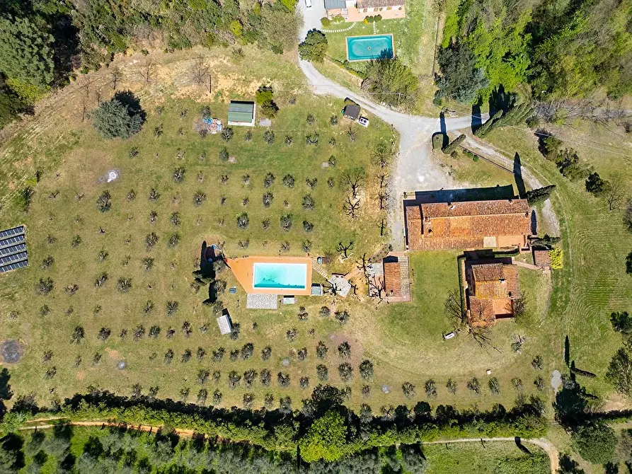 Immagine 3 di Casa colonica in vendita  a Capannori