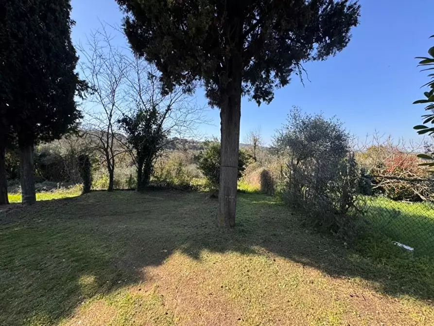 Immagine 34 di Casa indipendente in vendita  a Casole D'elsa