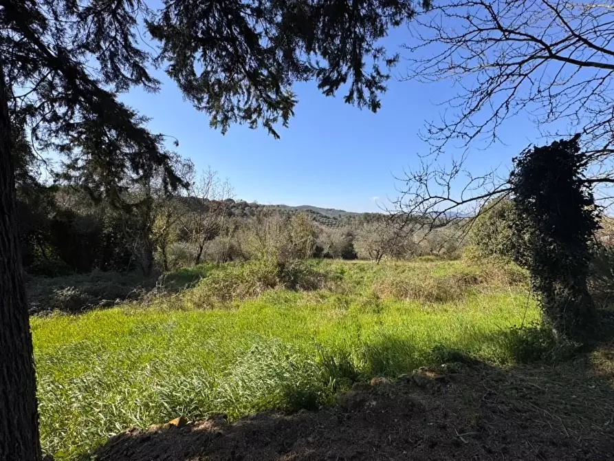 Immagine 36 di Casa indipendente in vendita  a Casole D'elsa