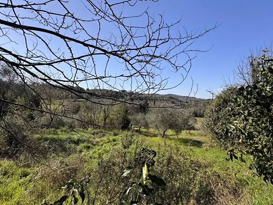Immagine 35 di Casa indipendente in vendita  a Casole D'elsa